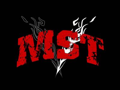 logo Michael Schenker Tribute